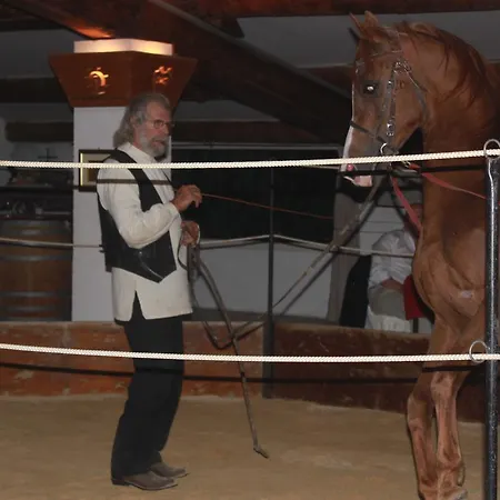 Mas Du Menage En Camargue Manade Clauzel Bed and breakfast Saintes-Maries-de-la-Mer