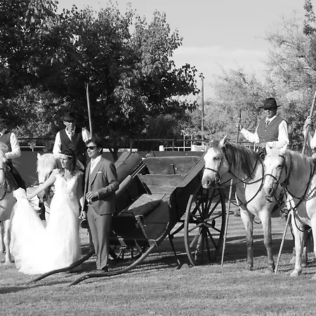 Mas Du Menage En Camargue Manade Clauzel Frühstückspension